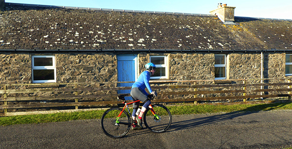 velobici cobalto thermal kit