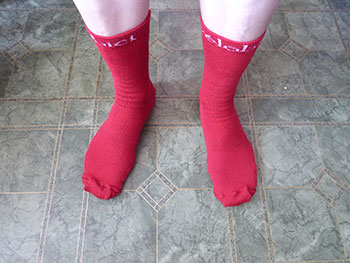 velobici merino socks