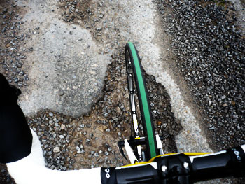 vittoria open pave evo cg