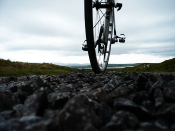 vittoria open pave evo cg