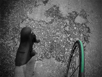 vittoria open pave evo cg