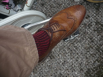 vulpine dogtooth socks