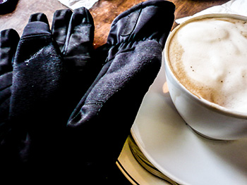 vulpine softshell gloves