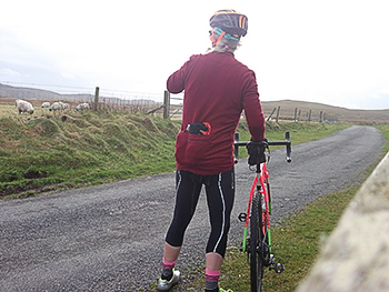 wabi woolens winter weight merino jersey