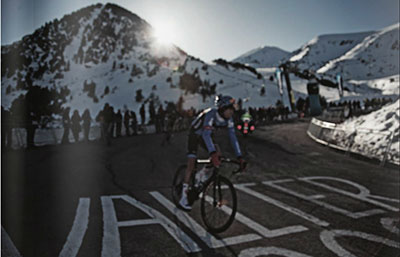 the walton wood journal