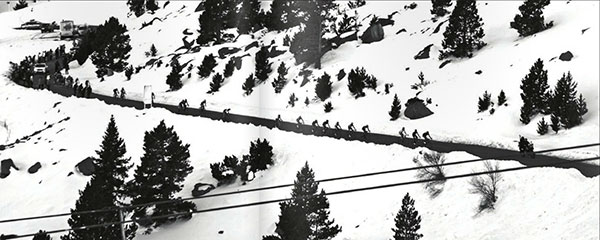 the walton wood journal