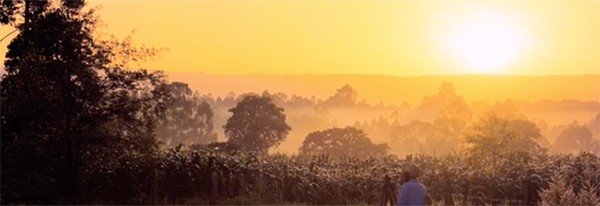 world bicycle relief: kakamega