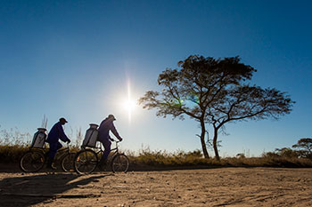 world bicycle relief