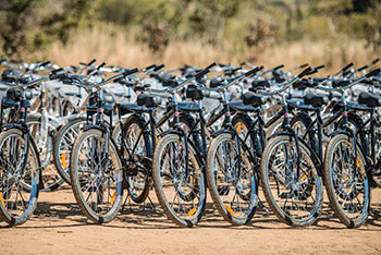 world bicycle relief