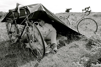 wild wheels