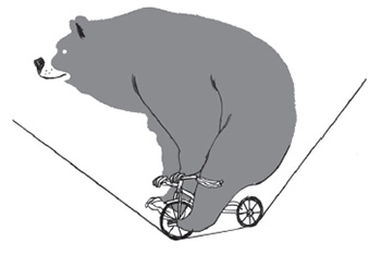 the enlightened cyclist