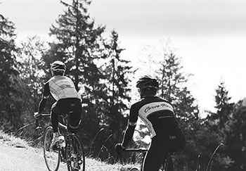 cervo rosso test team membership