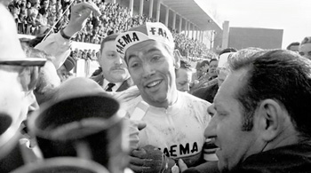 eddy merckx