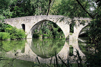 camino de santiago - mike wells