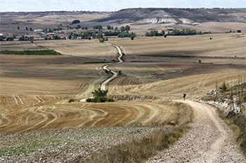 camino de santiago - mike wells