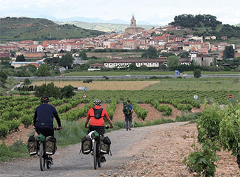 camino de santiago - mike wells