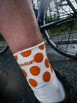 condor polka dot sock