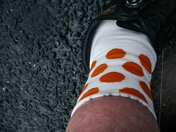 condor polka dot sock