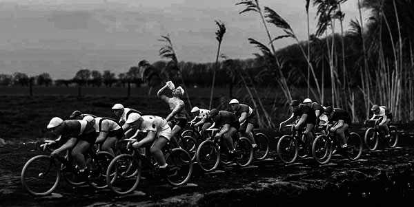 miniature peloton