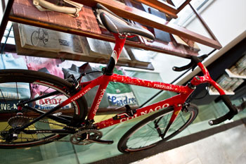 fireflies colnago