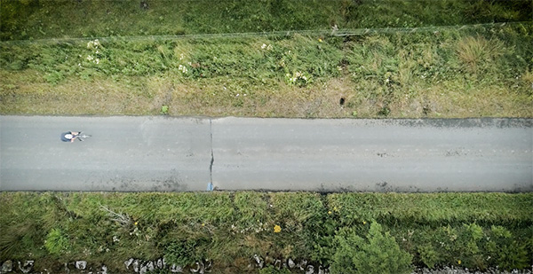 for the love of the flying scot - rab wilson