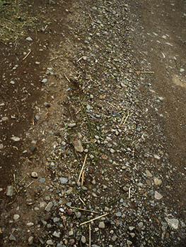 coull farm gravel track