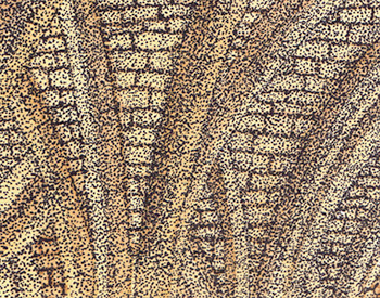 a bicycle ride in yorkshire