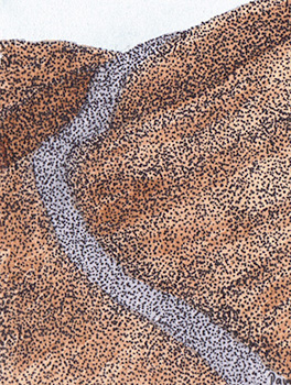 a bicycle ride in yorkshire