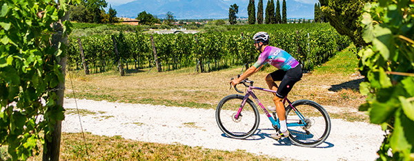 nathan haas colnago g3-x