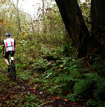 rapha pro-team cross jersey