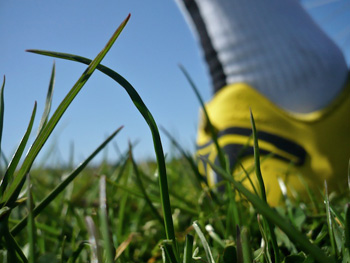 rapha pro team socks