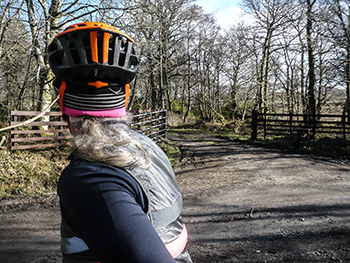 specialized prevail road helmet