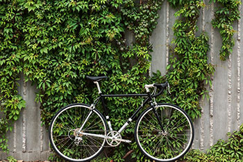 state bicycle co. 4130 road bike