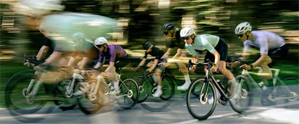 focus izalco