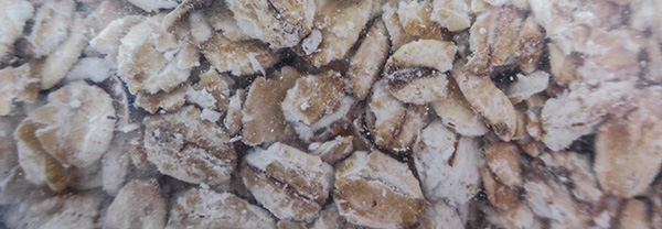 greencity organci porridge oats