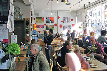 velo - adventures of the peloton