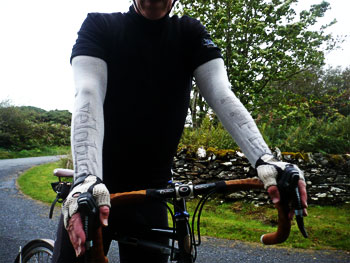 velobici armwarmers