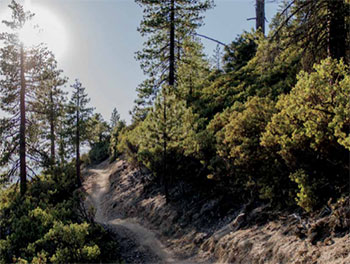 gravel cycling - nick legan