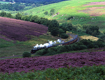 welcome to yorkshire